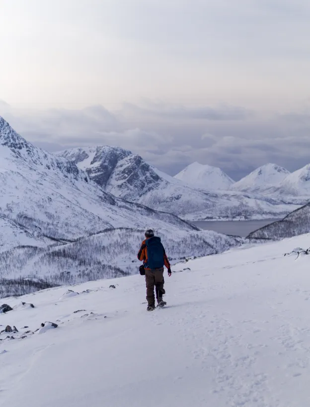 Excursions in the snow